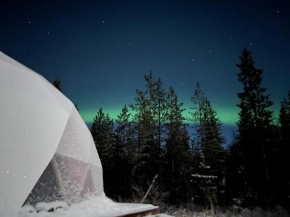 Pandomes Aurora Igloo